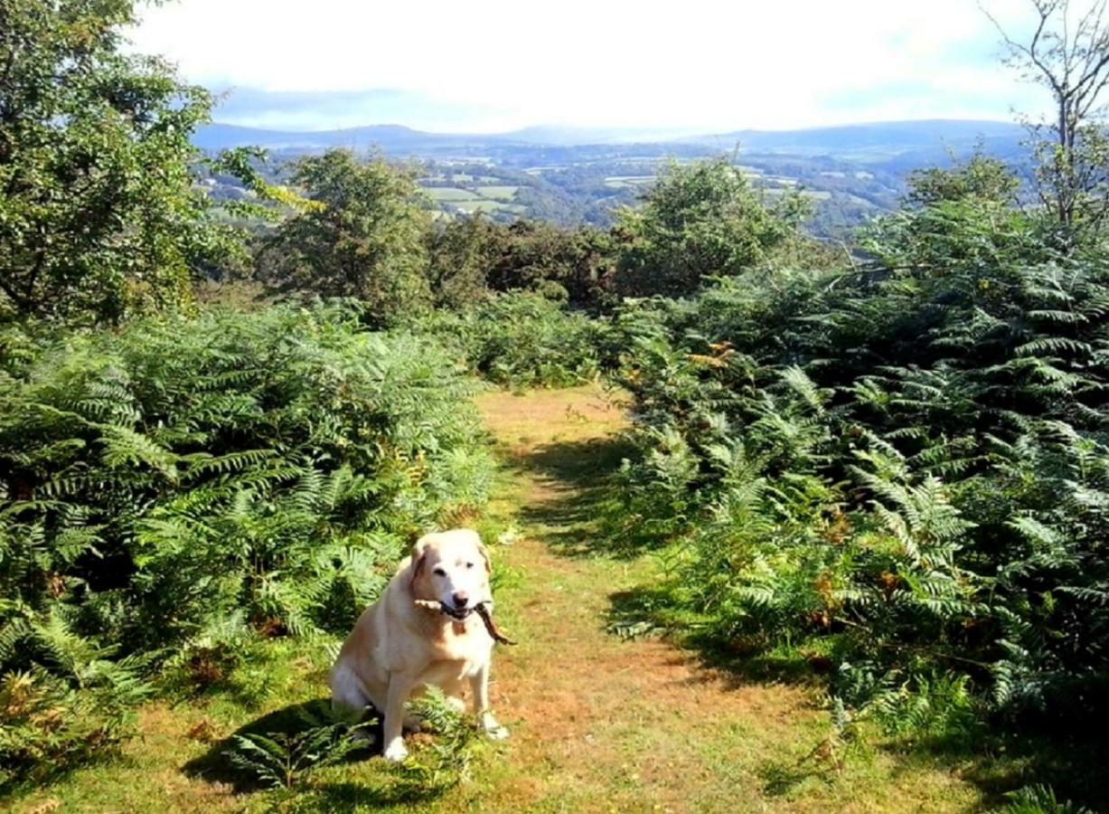 Heathergate Cottage Dartmoor Bnb Lydford Екстер'єр фото